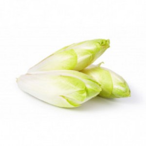 endive.jpg